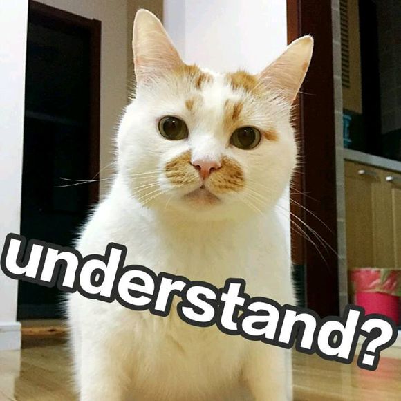 微信超可爱蠢萌喵星人表情包