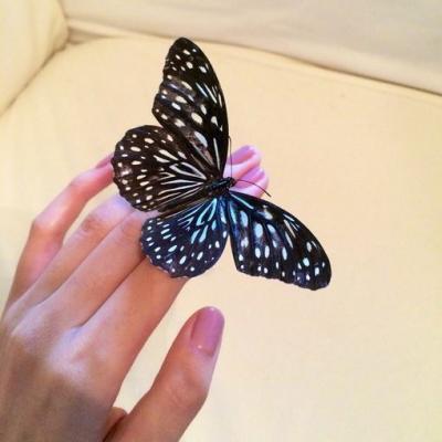 微信唯美清新意境风景静物头像