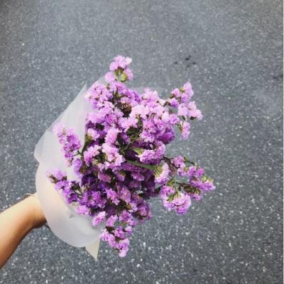 微信唯美清新意境风景静物头像