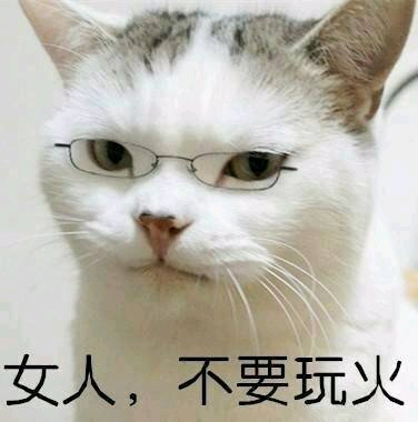 微信搞笑喵星人表情包