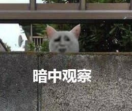 微信搞笑斗图金馆长表情包