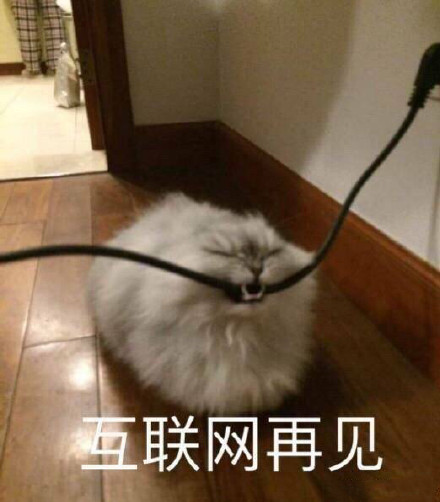 微信傻屌搞怪流行斗图表情包