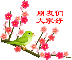 可爱萌萌哒的小鸟GIF系列微信表情包合集下载