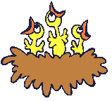 可爱萌萌哒的小鸟GIF系列微信表情包合集下载