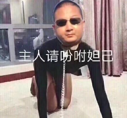 微信傻屌搞怪流行斗图表情包