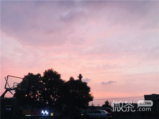 微信时尚意境风景静物头像