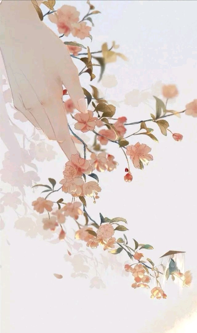 微信二次元人物图片