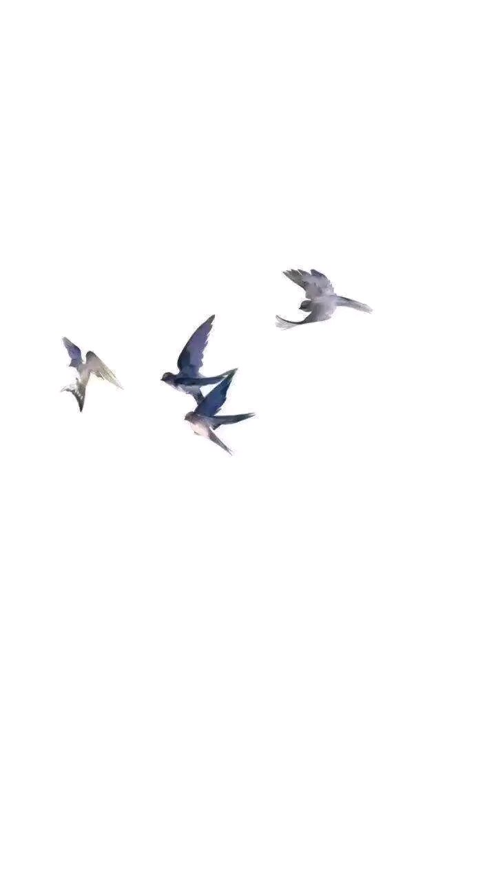 微信二次元人物图片