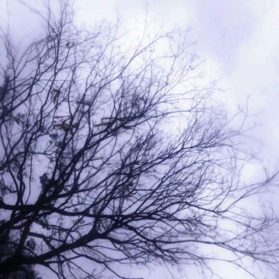 微信唯美时尚意境风景静物头像