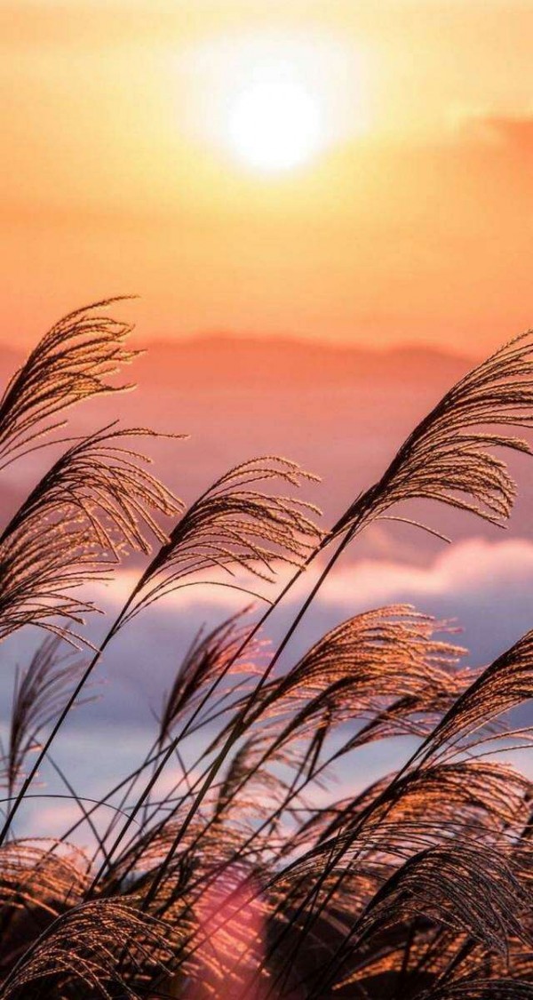 微信唯美靓丽风景聊天背景