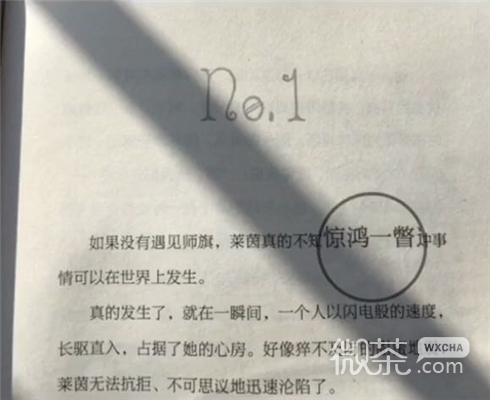 微信时尚意境风景静物头像