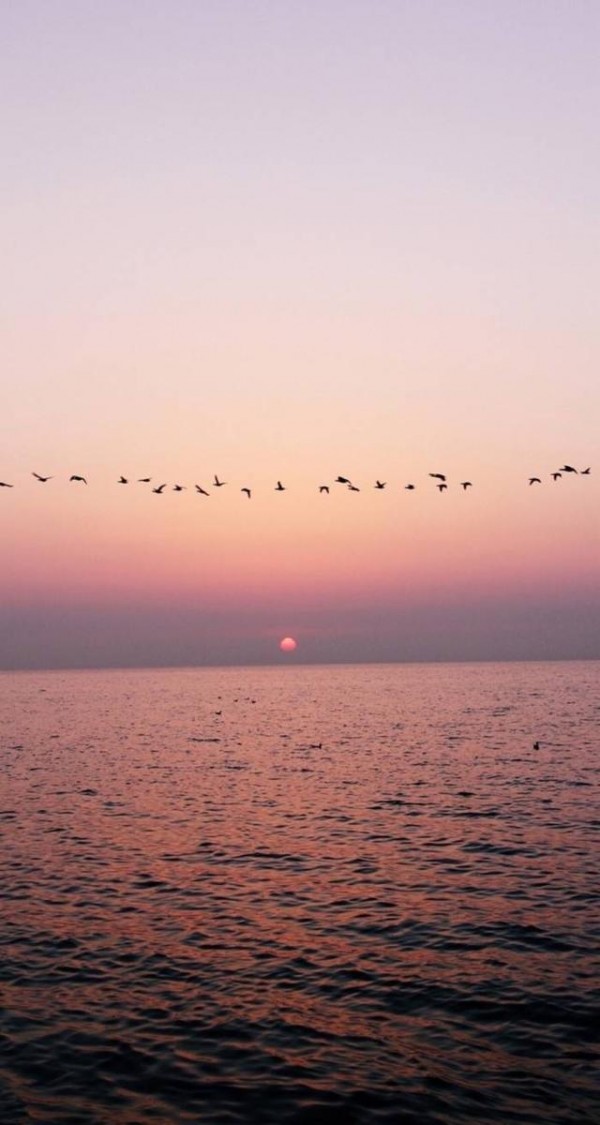 微信唯美靓丽风景聊天背景