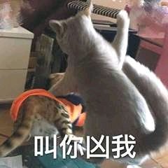 搞怪傻屌斗图微信表情包