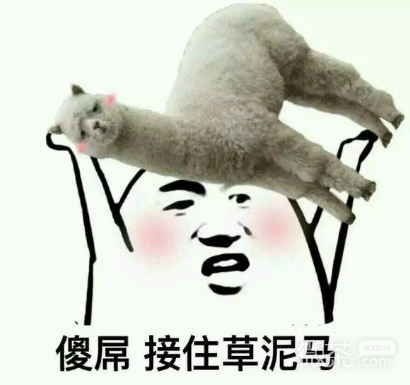 微信群聊傻屌杂图斗图表情包