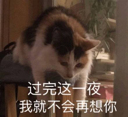 微信近期斗图恶搞表情包2019/2/27