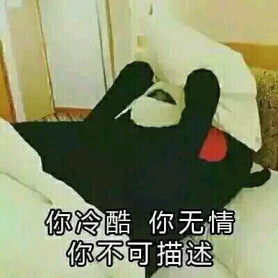 微信群聊傻屌杂图斗图表情包