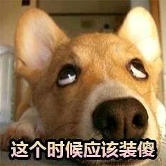 搞怪傻屌斗图微信表情包