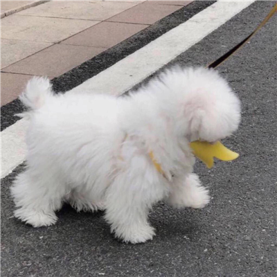 微信非主流搞怪头像