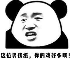 微信暴躁傻屌熊猫头斗图表情包