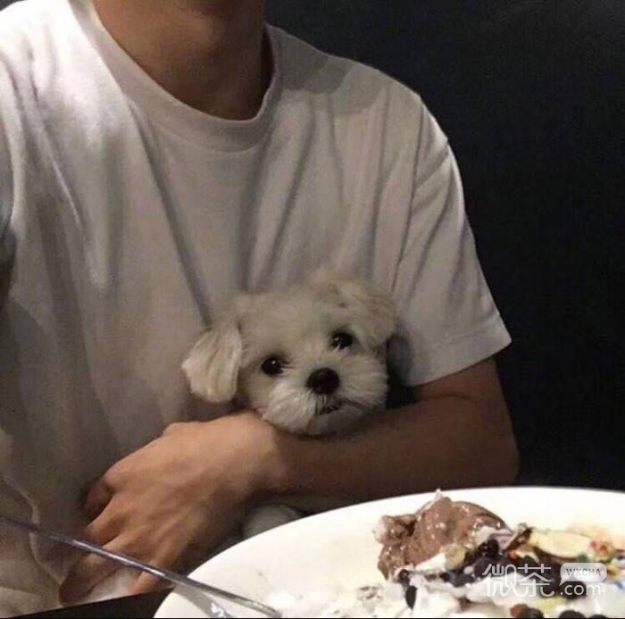 微信好看非主流冷酷性感男生头像