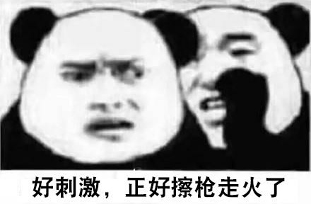 微信暴躁傻屌熊猫头斗图表情包
