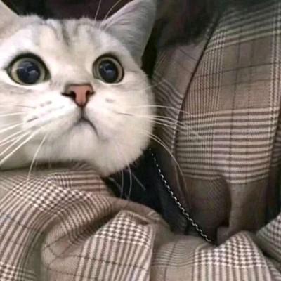 微信甜蜜搞怪浪漫情侣头像