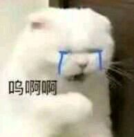 恶搞傻屌斗图微信表情包