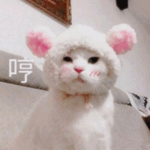 微信社会搞怪喵星人表情包