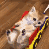 微信社会搞怪喵星人表情包