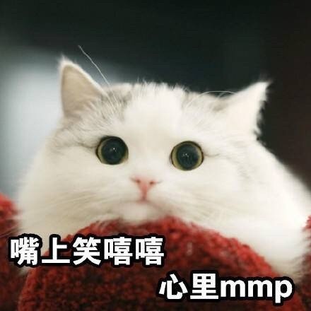 微信可爱萌喵星人斗图表情包
