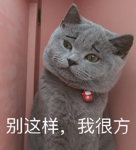 微信社会搞怪喵星人表情包