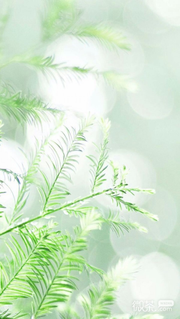创意个性可爱甜品系列微信图片合集下载