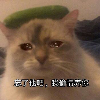 微信社会搞怪喵星人表情包