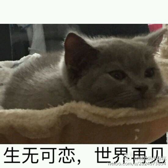 微信爆笑搞怪斗图表情包