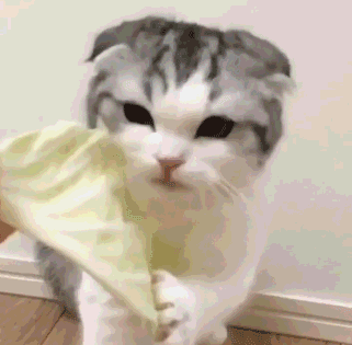 微信社会搞怪喵星人表情包