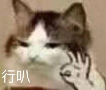 微信社会搞怪喵星人表情包