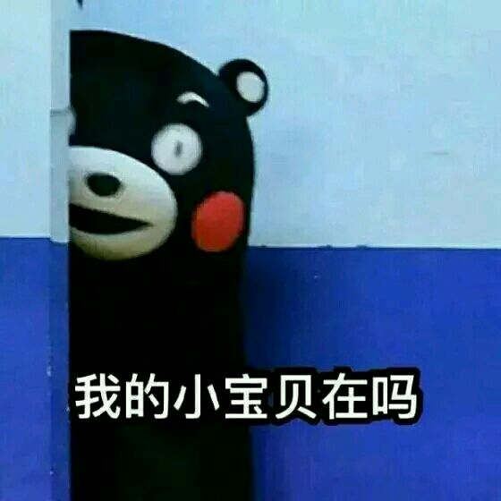 微信爆笑恶搞傻屌熊猫头斗图表情包