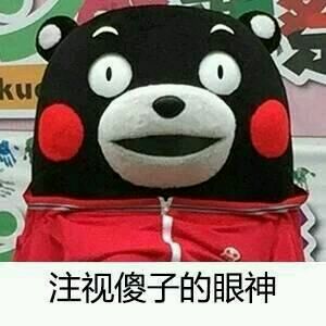 微信爆笑恶搞傻屌熊猫头斗图表情包
