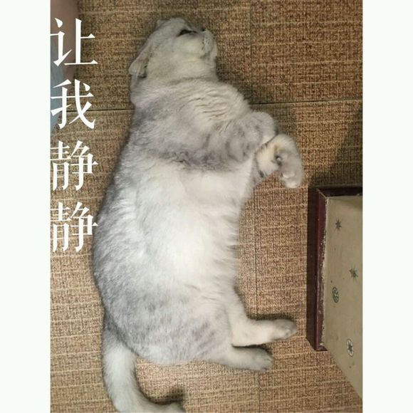 微信爆笑搞怪斗图表情包