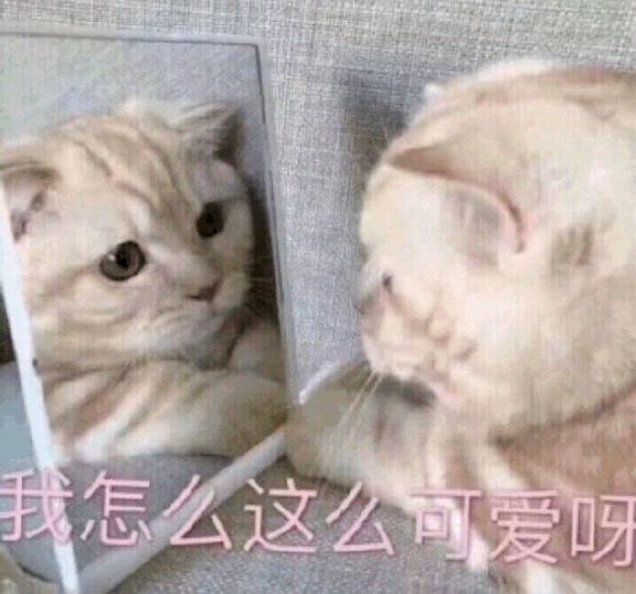 恶搞傻屌斗图微信表情包