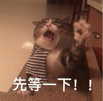 微信社会搞怪喵星人表情包