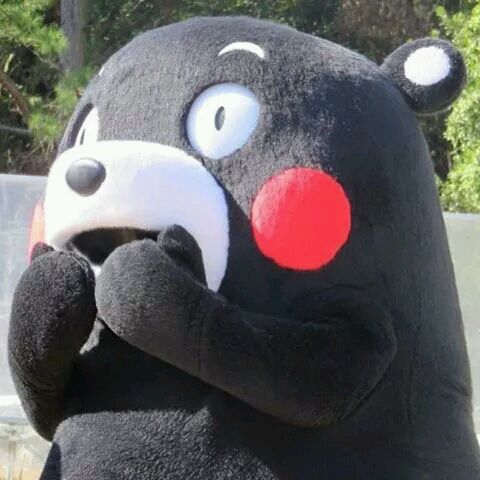 微信爆笑恶搞傻屌熊猫头斗图表情包