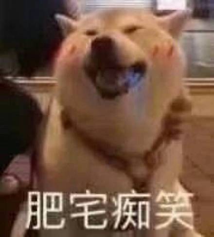微信近期斗图恶搞表情包2019/2/28(二)