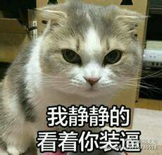 微信爆笑搞怪斗图表情包