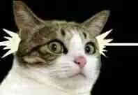 微信社会搞怪喵星人表情包