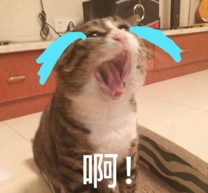 微信可爱萌喵星人斗图表情包