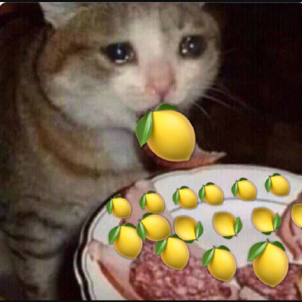 微信搞怪超可爱喵星人斗图表情包