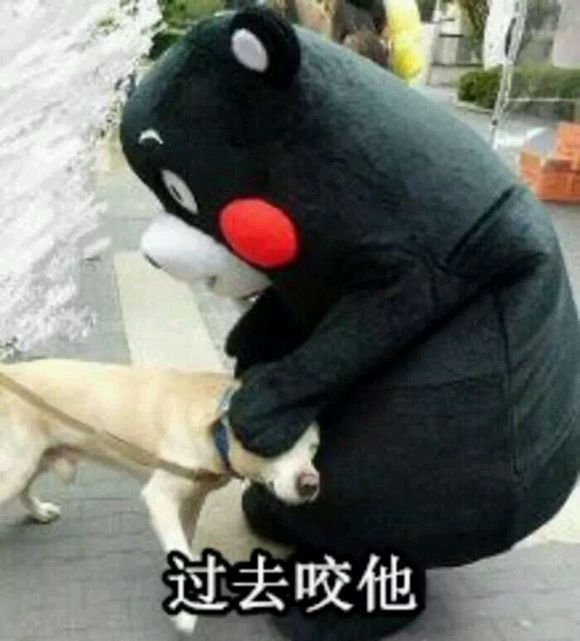 微信搞笑群聊斗图合集表情包