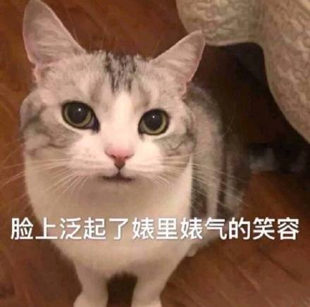 微信社会搞怪喵星人表情包