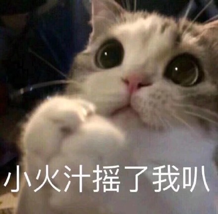 微信搞怪超可爱喵星人斗图表情包